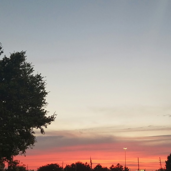 Meet your Posher, Amiah - Picture 1 of 1